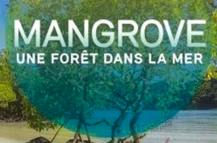 « Mangrove. Une forêt dans la mer »