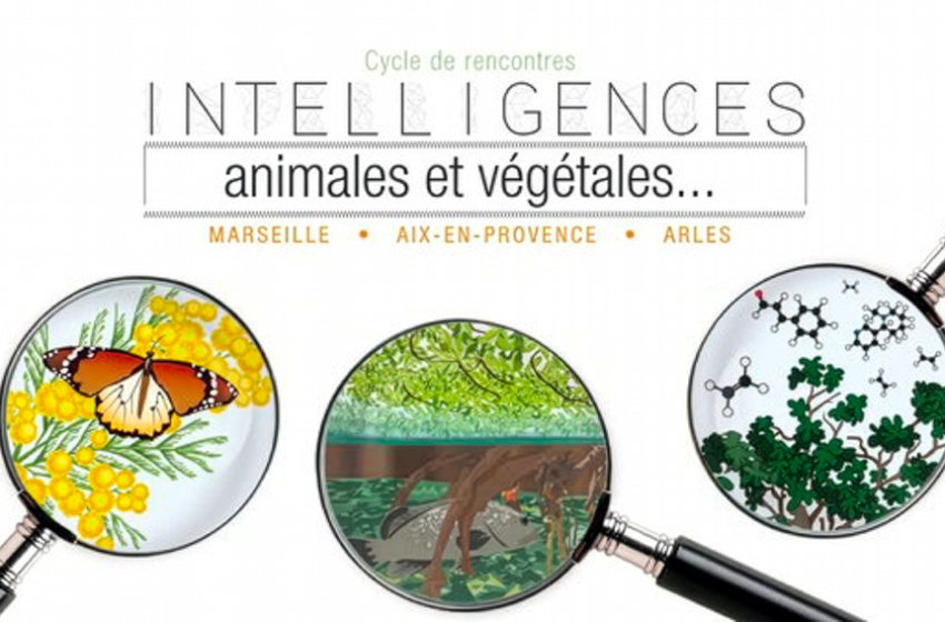 Intelligences animales et végétales…