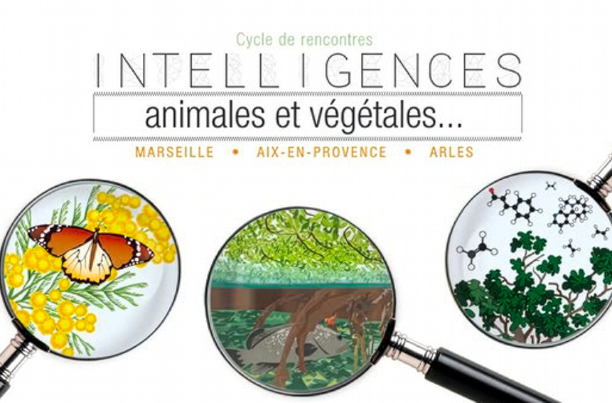 Intelligences animales et végétales…