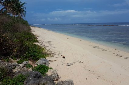 Impact biogéochimique et écologique des îles du Pacifique