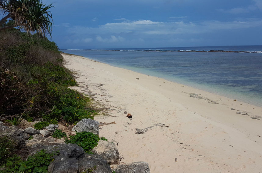 Impact biogéochimique et écologique des îles du Pacifique