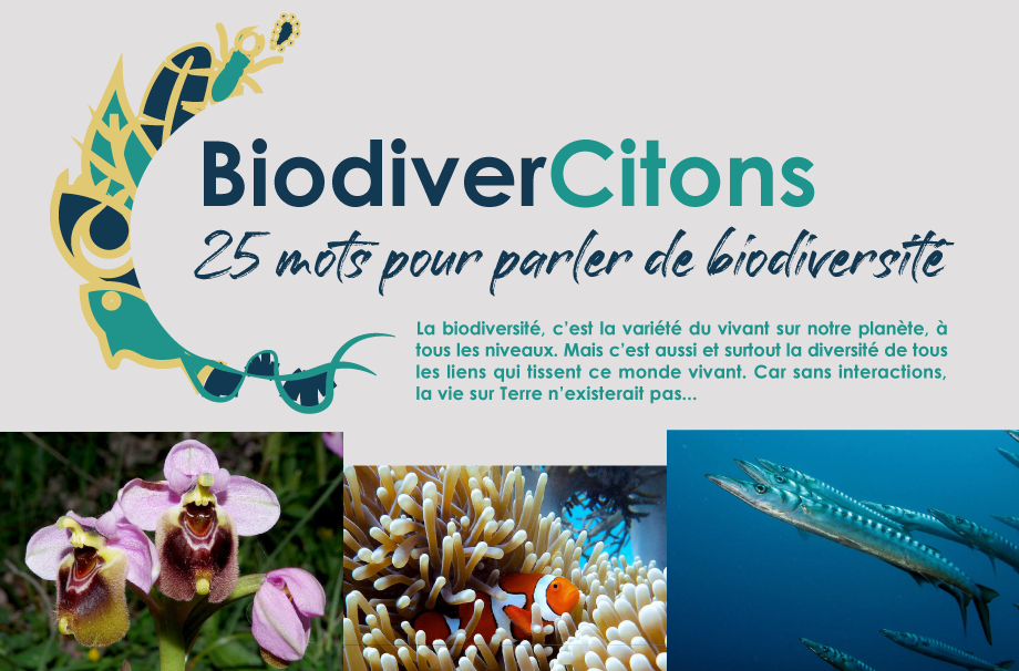 BiodiverCitons 25 mots pour parler de biodiversité