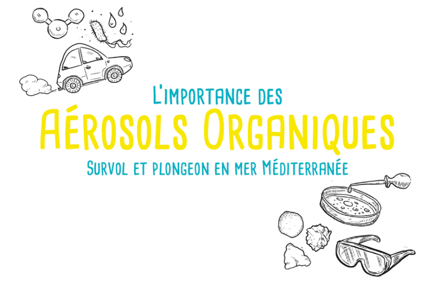 L'importance des aérosols organiques, en BD