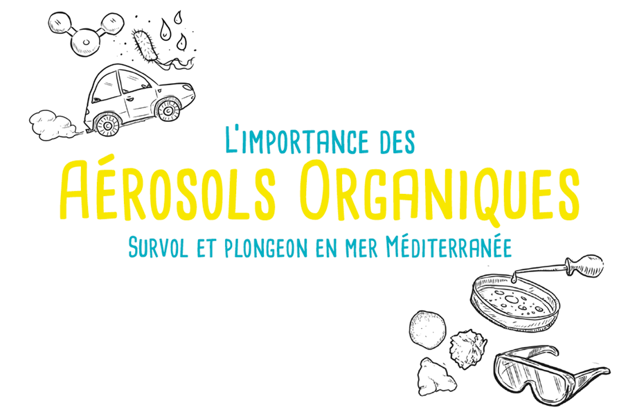 L'importance des aérosols organiques, en BD