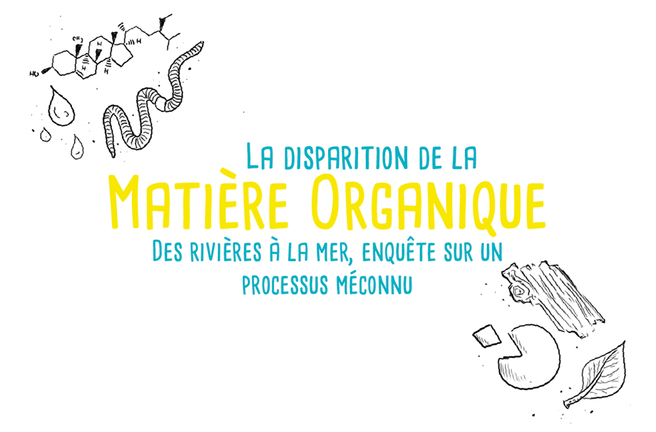 La disparition de la matière organique, en BD