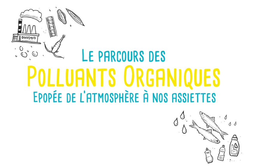 Le parcours des polluants organiques, en BD