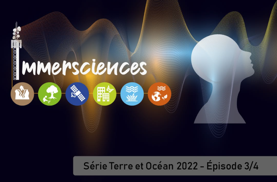 Immerscences série Terre et Océan 2022 - 3/4