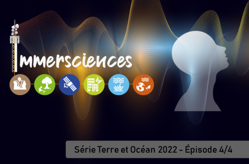Immerscences série Terre et Océan 2022 - 4/4