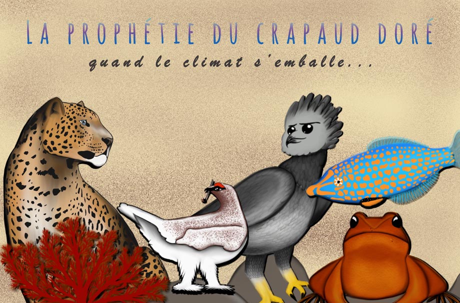 Kamishibaï en vidéo : La prophétie du crapaud doré