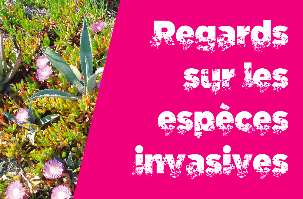 Exposition Regards sur les espèces invasives