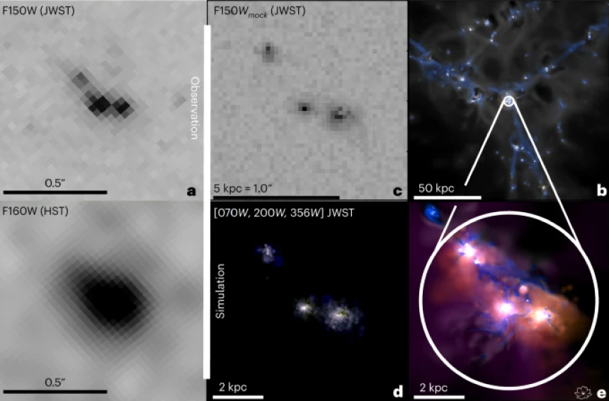 a, NIRCam F150W (en haut) et HST F160W (en bas) du LAE EGSY8p68. L'image NIRCam montre trois composantes du système qui n'étaient pas résolues auparavant par HST. b-e, fusion de galaxies analogues issues de la simulation Azahar : vue à grande échelle des filaments englobant la fusion de galaxies (b ; bleu, densité H i ; gris-noir, densité H ii ; jaune-blanc, intensité F150W), observation simulée NIRCam F150W de la fusion d'Azahar (c) ; observation simulée entièrement résolue dans les filtres NIRCam (d) et propriétés du gaz d'hydrogène et du rayonnement ionisant (e ; bleu, densité H i ; gris-noir, densité H ii ; jaune-blanc, intensité F150W ; violet, densité d'énergie du rayonnement LyC ; orange, densité d'énergie du rayonnement ionisant He ii). L'apparence du système observé est très bien reproduite par une fusion continue de trois galaxies avec un champ de rayonnement LyC étendu qui s'échappe.