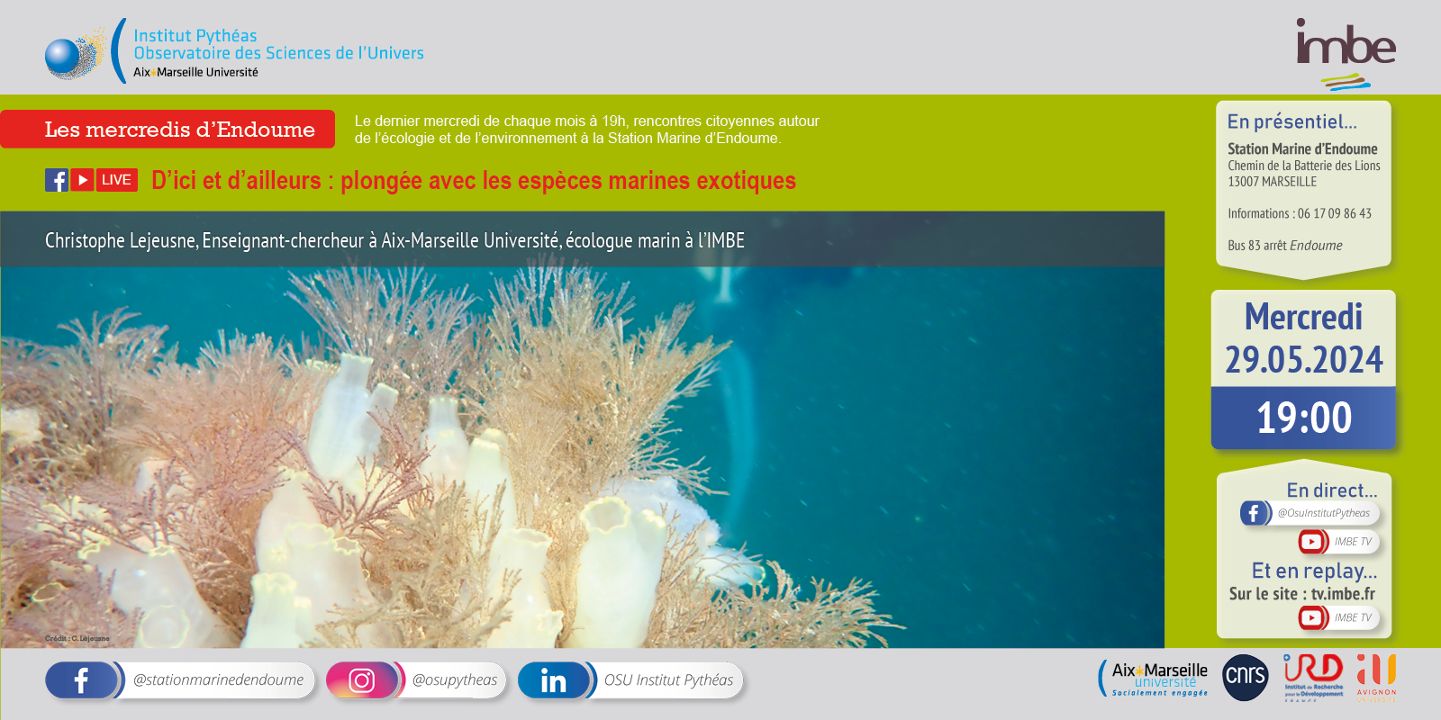 Les mercredis d'Endoume : D’ici et d’ailleurs : plongée avec les espèces marines exotiques