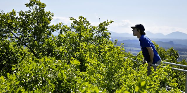 Chercheur travaillant sur la plateforme expérimentale de l'O3HP, installée depuis 2009 sur le site de l'Observatoire de Haute-Provence (OHP). Ce dispositif est composé de passerelles instrumentées permettant d'accéder à plusieurs strates de la forêt.