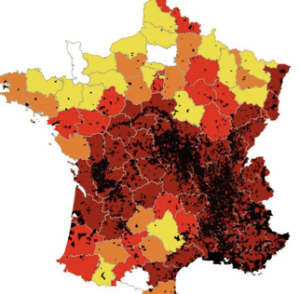 La présence de la mystérieuse plante invasive en France : en jaune, les départements peu concernés, en rouge et noir, les zones les plus touchées. 