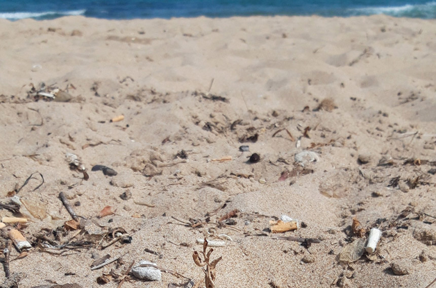 Accumulation de mégots de cigarettes sur une plage tunisienne.