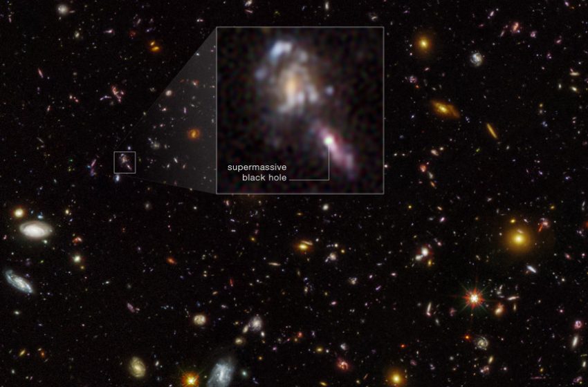 Image multi-couleur d’une région du champ ultra profond d’Hubble.