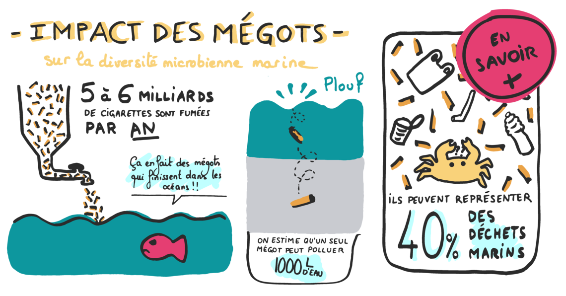 Impact des mégots de cigarettes sur la diversité bactérienne marine.