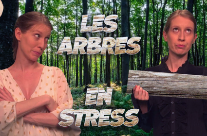 Des arbres... en stress - Zeste de science CNRS