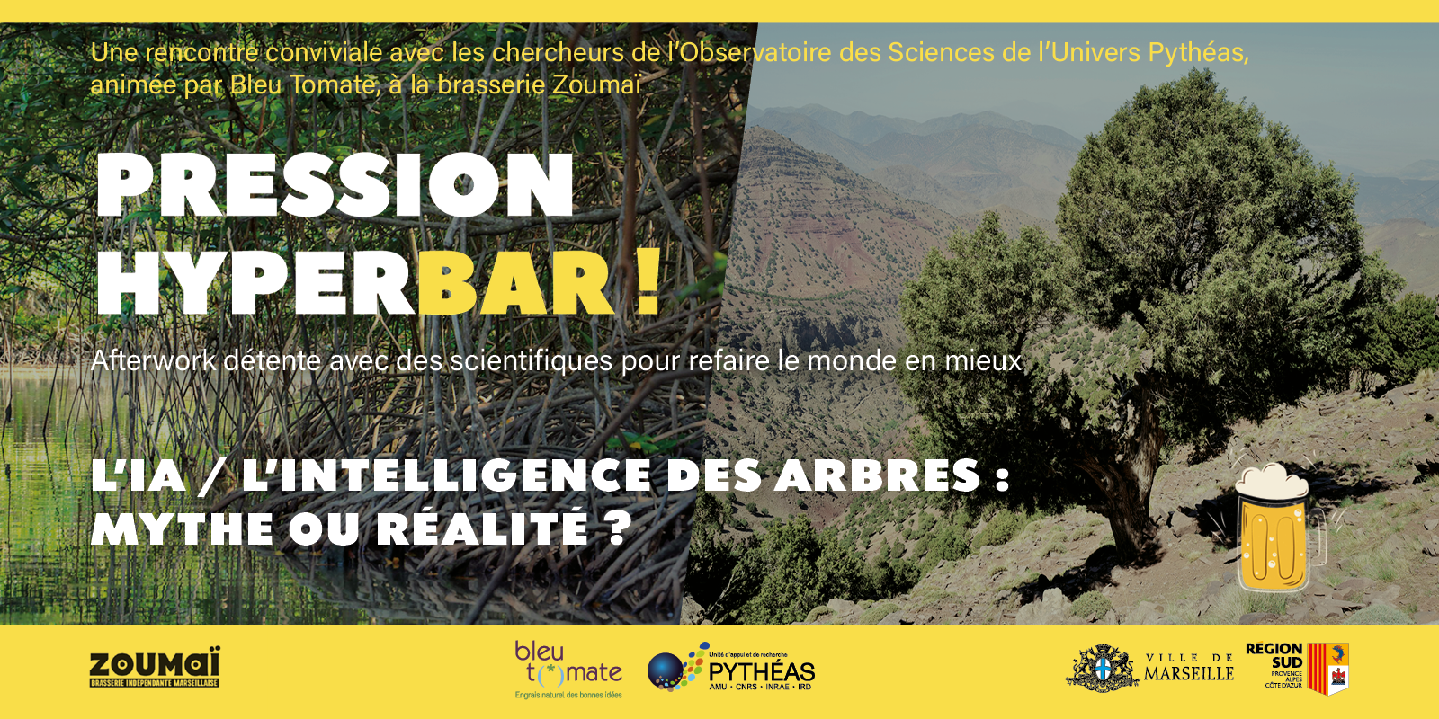 PRESSION HYPERBAR ! L’IA / L’Intelligence des Arbres : mythe ou réalité ?