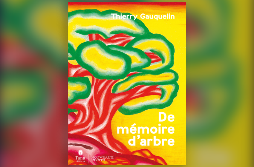 De mémoire d'arbre.