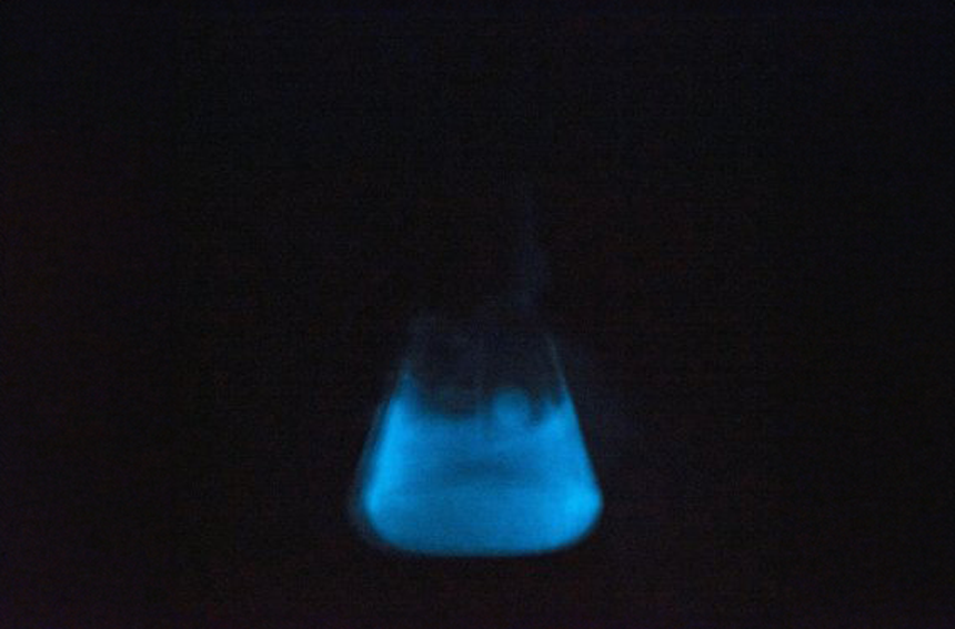 Bioluminescence de la microalgue "Lingulodinium polyedrum" induite par cisaillement mécanique.