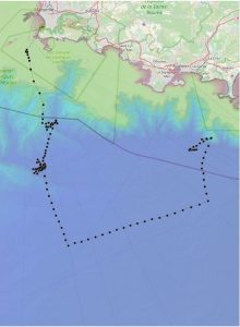 Trajectoire des gliders pendant 11 jours en Méditerranée Nord-Occidentale.