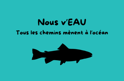 Nous v’EAU : tous les chemins mènent à l’océan
