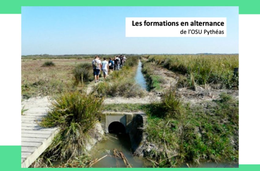 Formations en alternance à l'OSU Pythéas