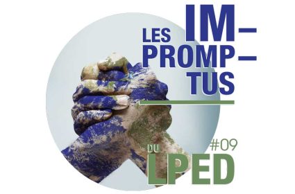 Les impromptus du LPED #9 - Coopérer face aux enjeux environnementaux.