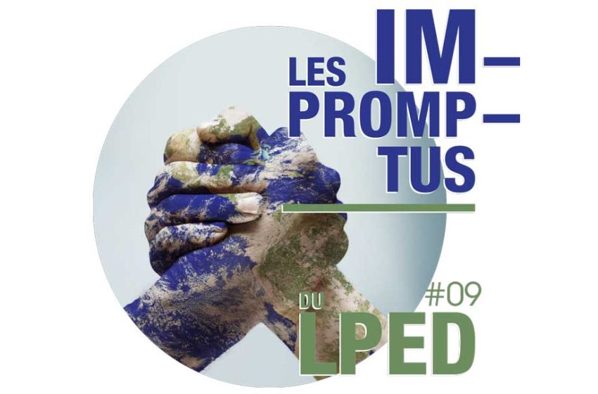 Les impromptus du LPED #9 - Coopérer face aux enjeux environnementaux.