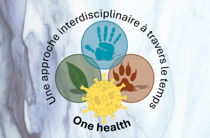 DESU Populations Environnements Santé.