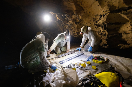 10 000 ans de climat racontés par… du guano de chauves-souris !