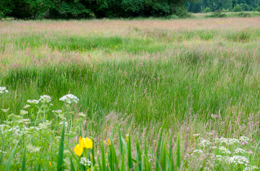 Identifier les seuils écologiques pour une gestion optimisée de la biodiversité et des écosystèmes.