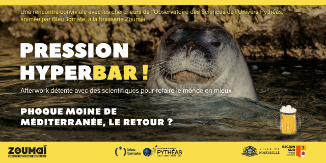 PRESSION HYPERBAR ! Phoque moine de Méditerranée, le retour ?