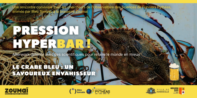 PRESSION HYPERBAR ! Le crabe bleu : un savoureux envahisseur