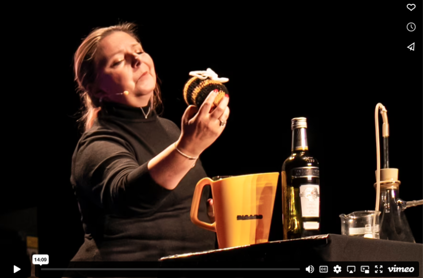 Véronique Masotti, IMBE