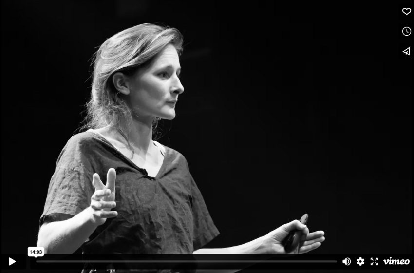 Melilotus Thyssen, MIO.