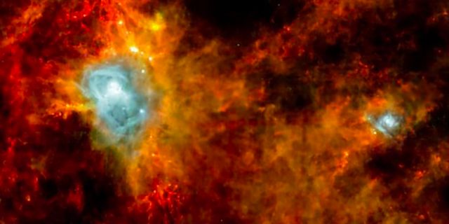 Une nurserie stellaire invisible apparaît dans cette image prise par Herschel. On estime que quelque 700 étoiles en formation sont regroupées dans ces filaments de poussière colorés. Ce complexe fait partie d'un mystérieux anneau d'étoiles appelé la Ceinture de Gould.
