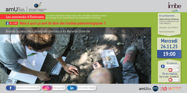 Les mercredis d'Endoume : Mais à quoi ça sert de faire des fouilles paléontologiques ?