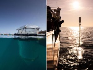 À gauche, un mésocosme utilisé pour étudier l’augmentation de l’alcalinité océanique dans le fjord de Kiel, en Allemagne. À droite, collecte d’eau dans la mer Baltique pour suivre l’effet de l’augmentation de l’alcalinité sur les communautés planctoniques dans un cadre comparable (même protocole) à l’échelle mondiale.