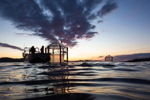Mésocosme près de Bergen (Norvège) utilisé dans le cadre d’une étude comparant les effets d’une augmentation de l’alcalinité océanique sur les larves de poissons selon qu’elle est due aux silicates ou aux carbonates.