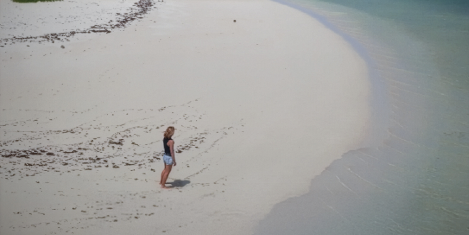 Des oasis dans l'Océan