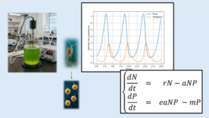 Figure 2 : Système marin simplifié prédateur-proie, composé d'une population zooplanctonique qui broute des microalgues : milieu de culture en laboratoire et modèle mathématique.