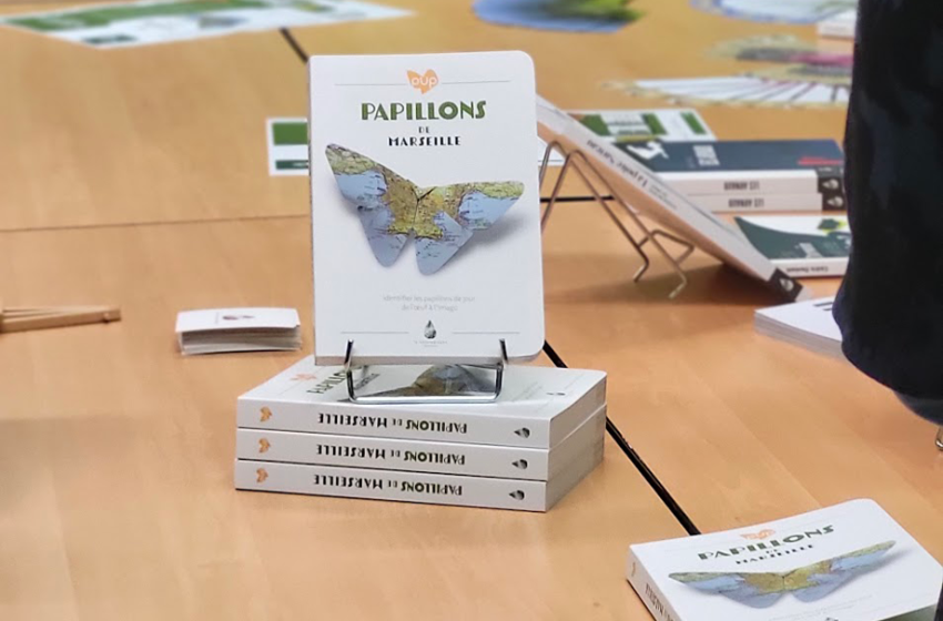 Papillons de Marseille