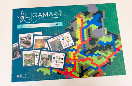 Boite de jeu Ligama
