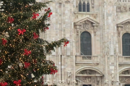 Votre « sapin » de Noël n’est peut-être pas un sapin, voici pourquoi.