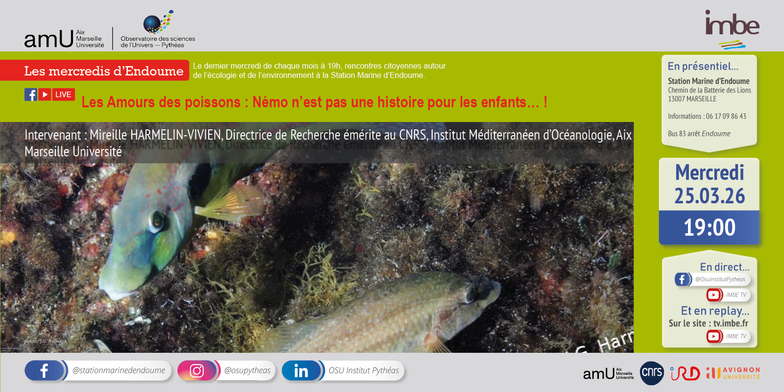 Les mercredis d'endorme : Les Amours des poissons : Némo n’est pas une histoire pour les enfants… !