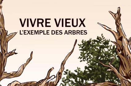 Vivre Vieux, l'exemple des arbres