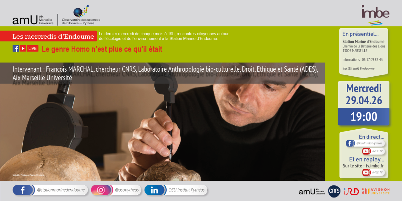 Les mercredis d’Endoume / Le genre Homo n’est plus ce qu’il était