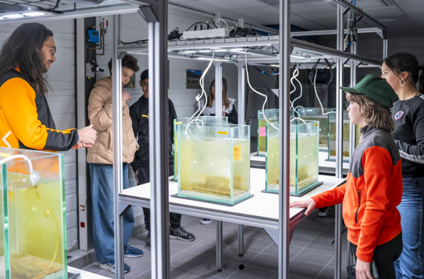 Le Printemps des Sciences 2026 : une immersion au cœur des géosciences.